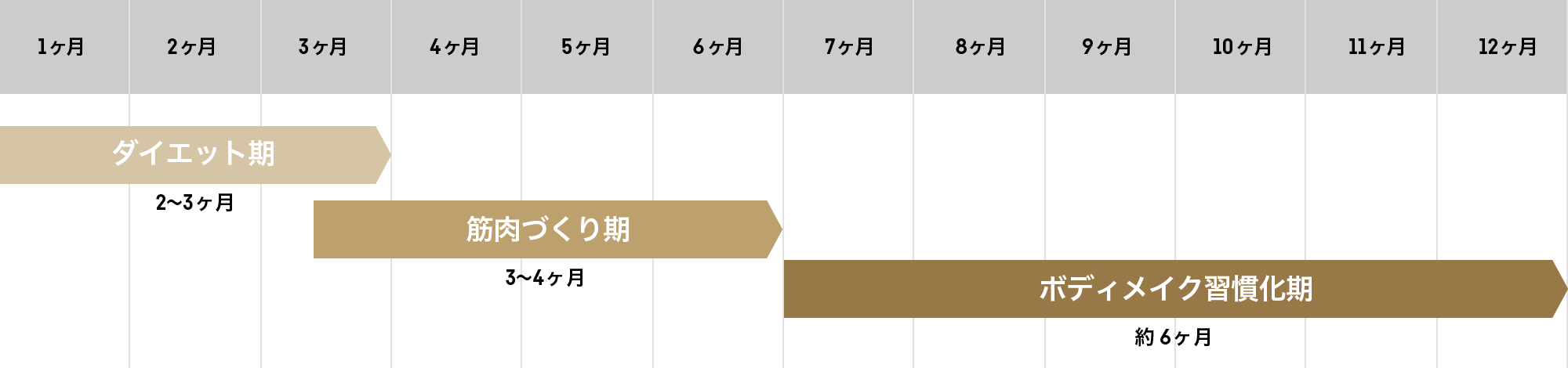 年間スケジュール